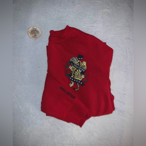 Vintage Hollister Sweater 🐅 - Picture 1 of 6